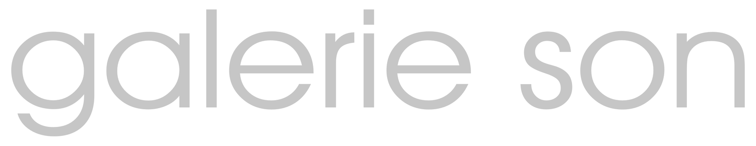 galerie son
